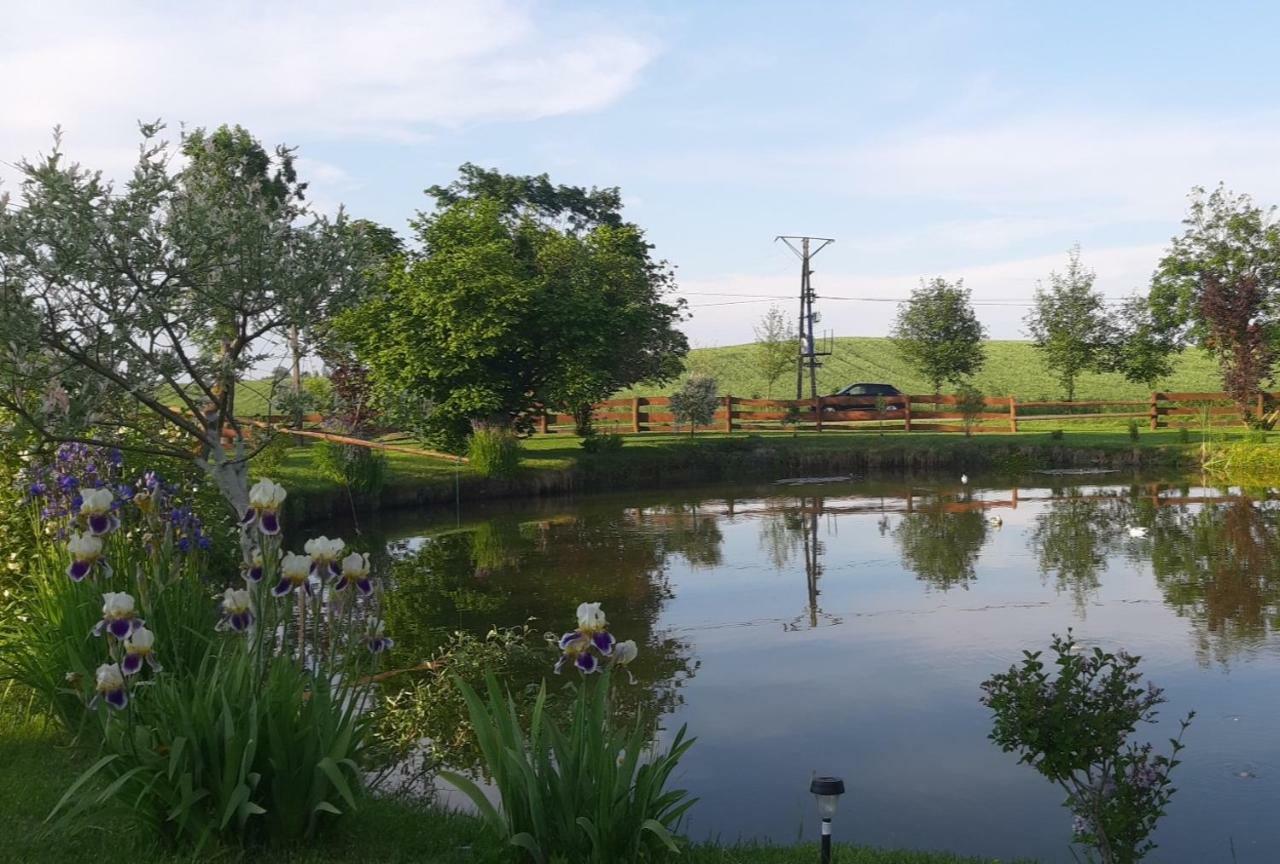Agroturystyka Nad Stawem Mazuchowka Wydminy Exterior foto
